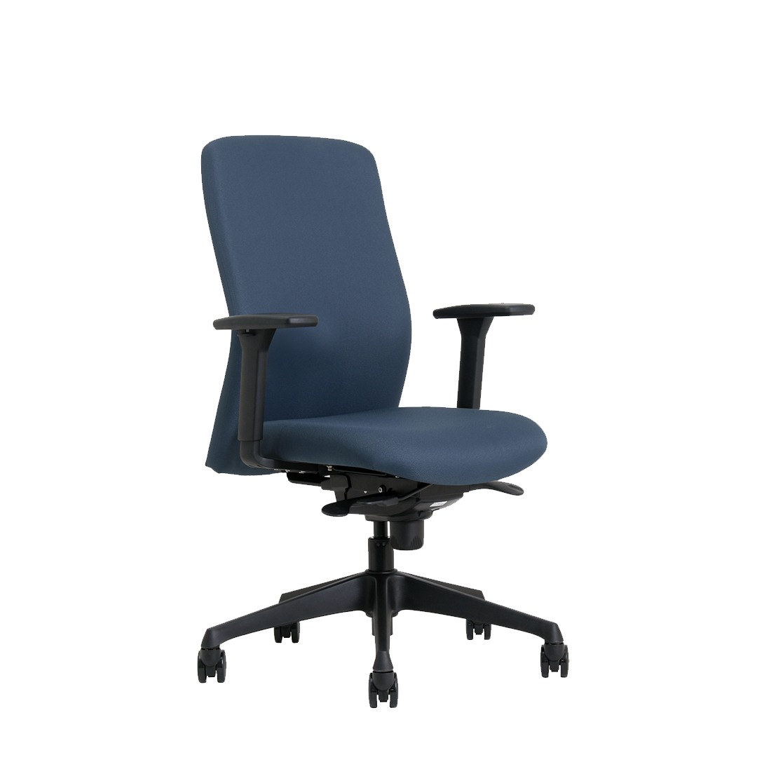 Ergoform office discount chair